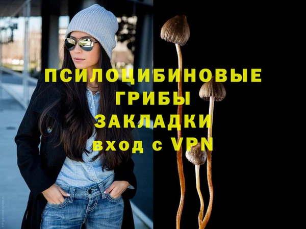 ALPHA PVP Алзамай